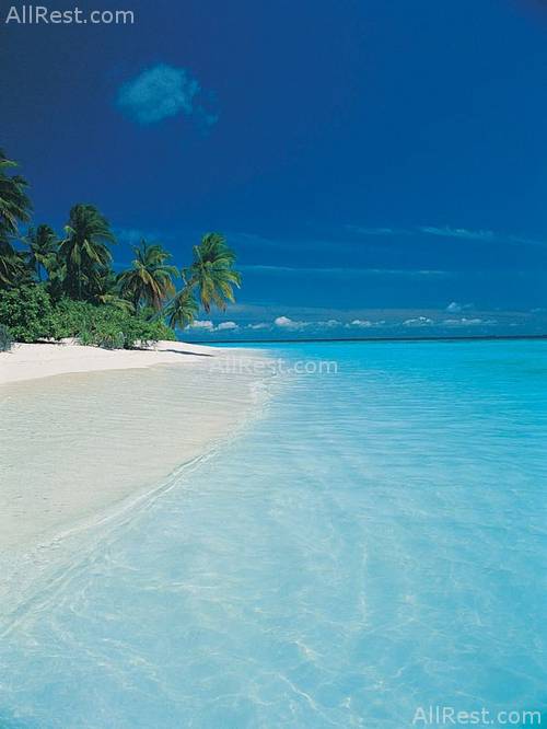 Vakarufalhi Island Resort 4